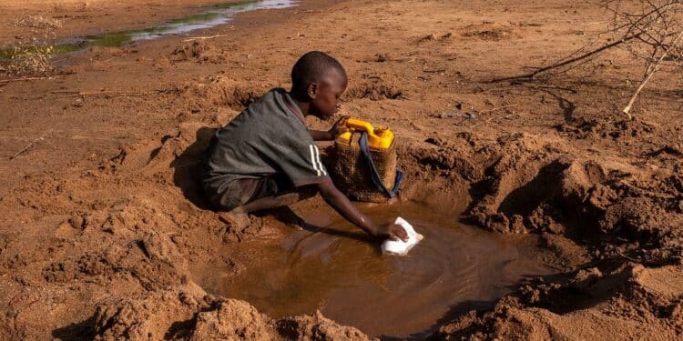 UNICEF