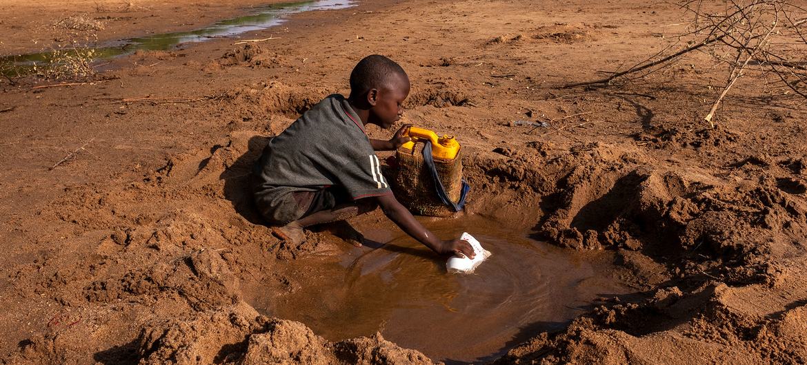 UNICEF