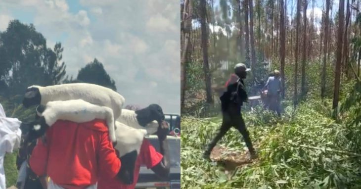The goons are believed to have been ferried from outside Ruiru.Photo/Courtesy