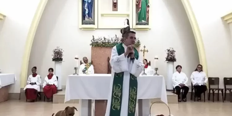 Stray dogs mounting in between a sermon :PHOTO/Courtesy