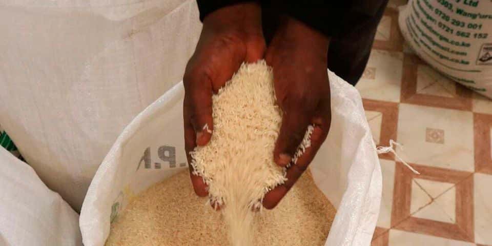 Linturi says rice consumption will be an option amid the biting maize shortage. Photo/Courtesy