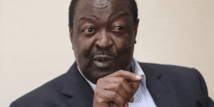 Mudavadi