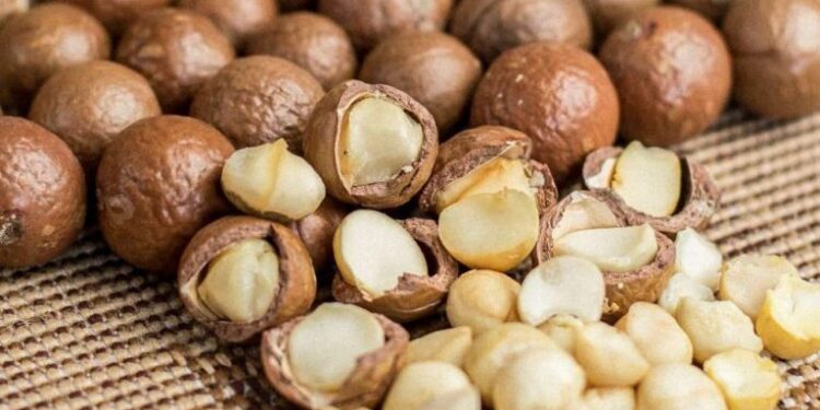 Macadamia