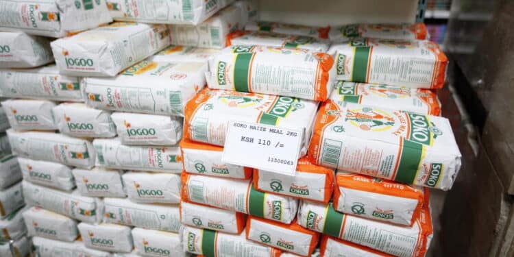 Maize Flour Prices Set to Rise

Photo Courtesy