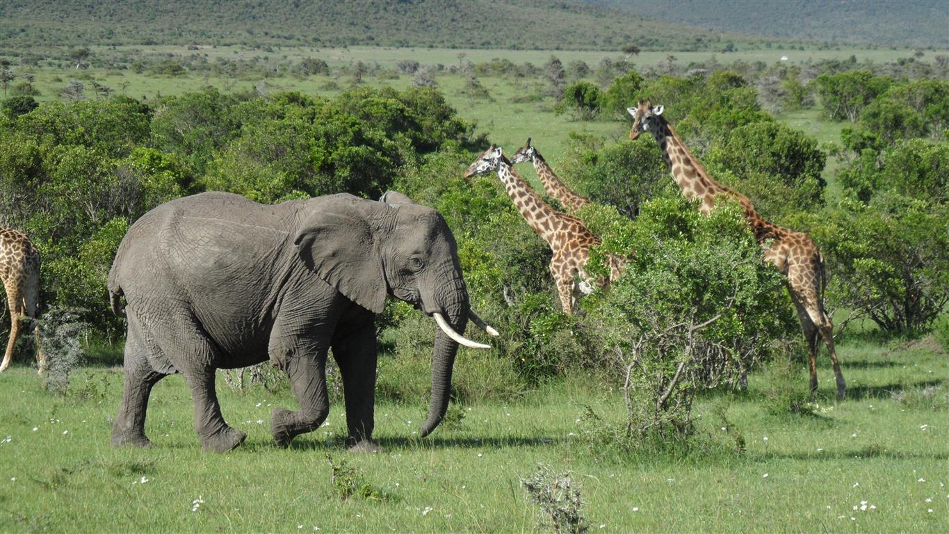 The African continent has much unexploited economic, social and political potential.Photo/Courtesy