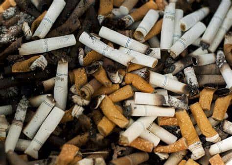 Tobacco

Photo Courtesy