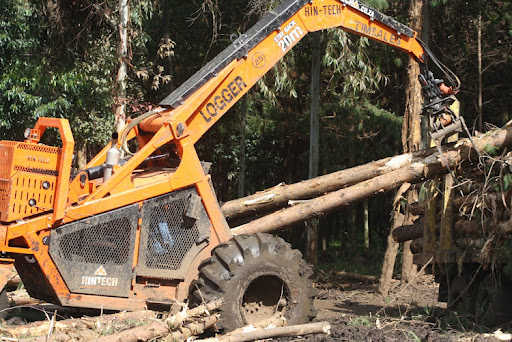 Govt Responds After Uproar Over Viral Logging Video