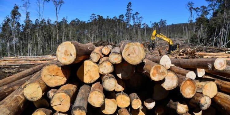 Logging
