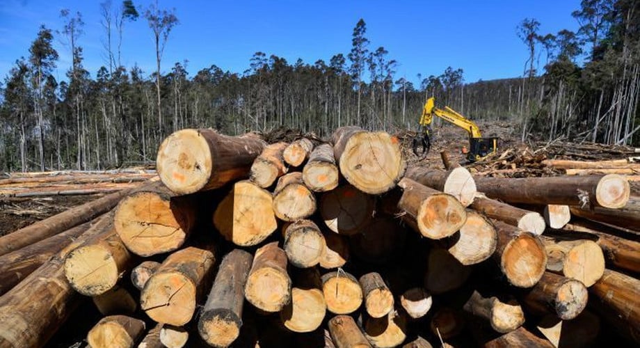Logging