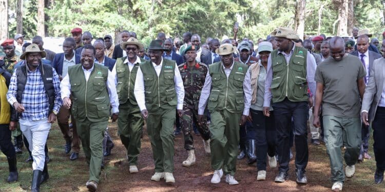 Intrigues Behind Ruto's Visit to UDA Offices