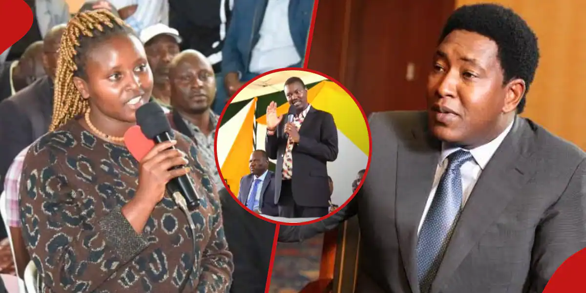 Mercy Tarus has rejected Narok Senator Ledama Ole Kina's job offer asking him to speak with his fellow senators first to investigate the Finland Scholarship scam.