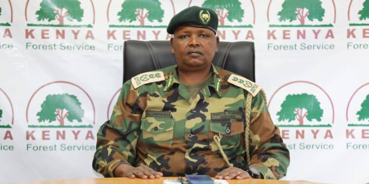 Kenya Forest Service Denies Wangari Maathai Tree Felling Kfs Board Unveils New Chief Conservator Of Forests
