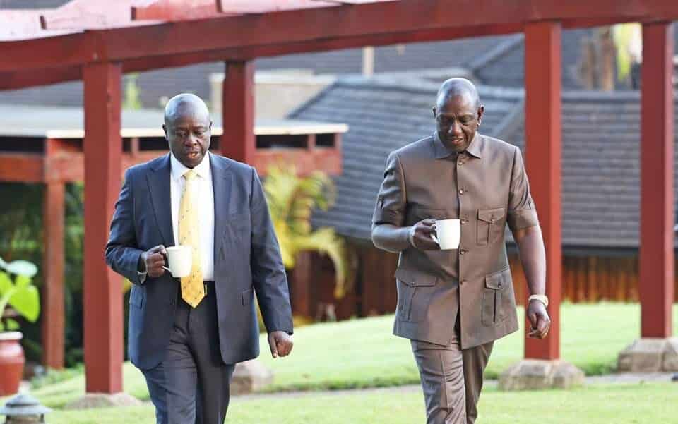 DP Gachagua Differs with President Ruto, Maintains Govt is a Shareholding Entity