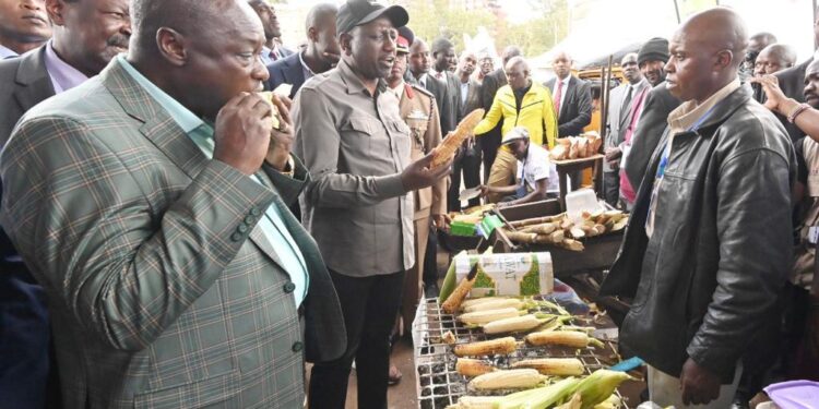 Headache for Ruto as Hustler Fund Default Shoots to Ksh3 Billion