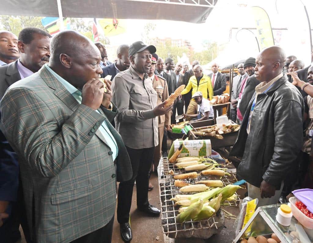 Headache for Ruto as Hustler Fund Default Shoots to Ksh3 Billion