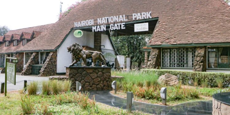 KWS Responds to Nairobi National Park Main Gate Long Queues