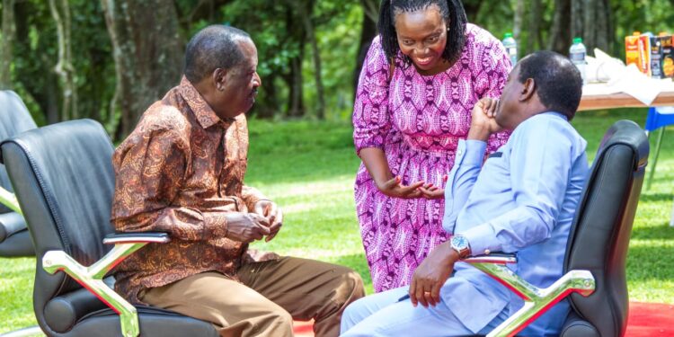 Jimi wanjigi has asked Kalonzo to retire Karua Azimio