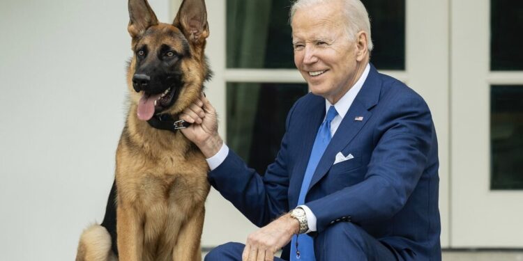 President Joe Biden's Pet Bites Secret Service Agent