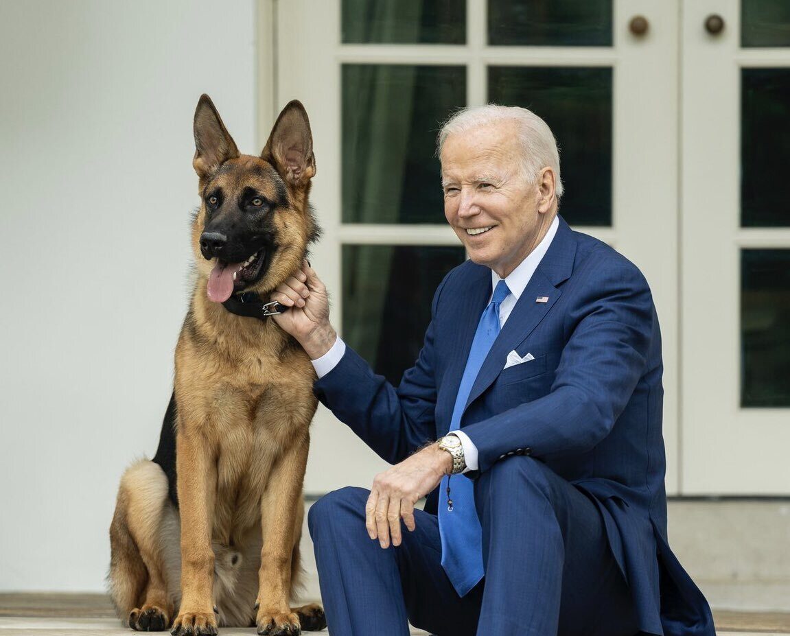 President Joe Biden's Pet Bites Secret Service Agent