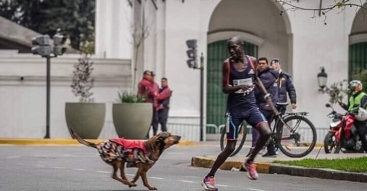 Kenyan Athlete Chased Down by a Stray Dog Finishes Third
