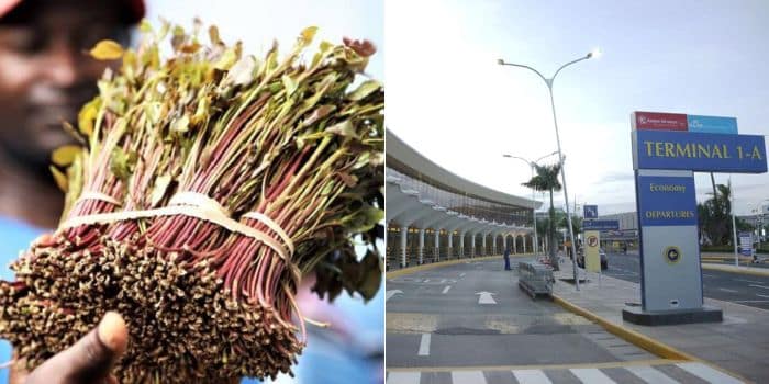 Miraa JKIA