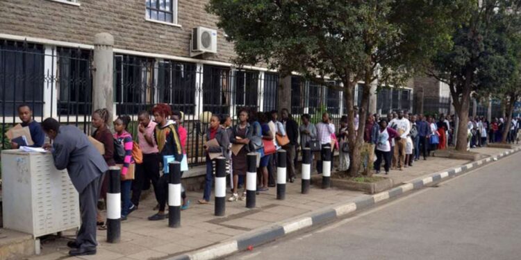County Govt Announces 100 Jobs; How to Apply