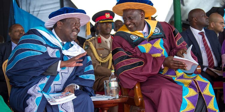 Govt to Recognize Jobless Kenyans Without Certificates. Miguna Miguna Calls Out Ruto On Useless Degrees Remarks