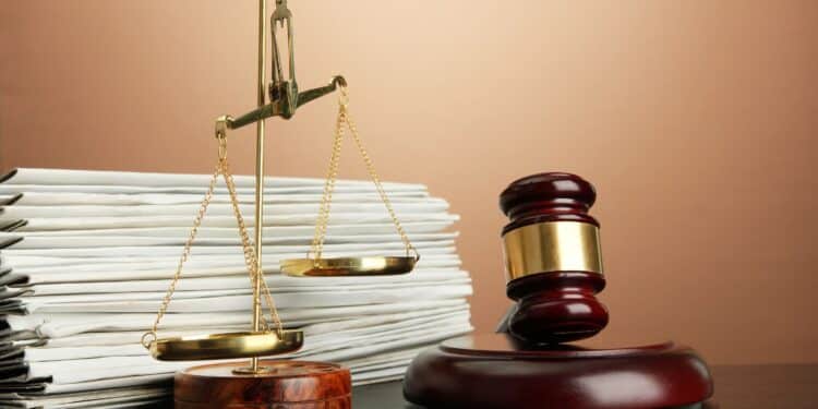 Anti-tax Protestor Who Stole 181Kgs Meat Gets Ksh10M Bond