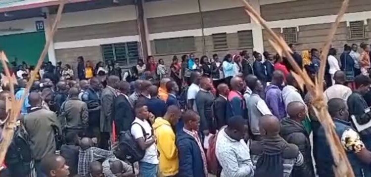 Jobseekers line up