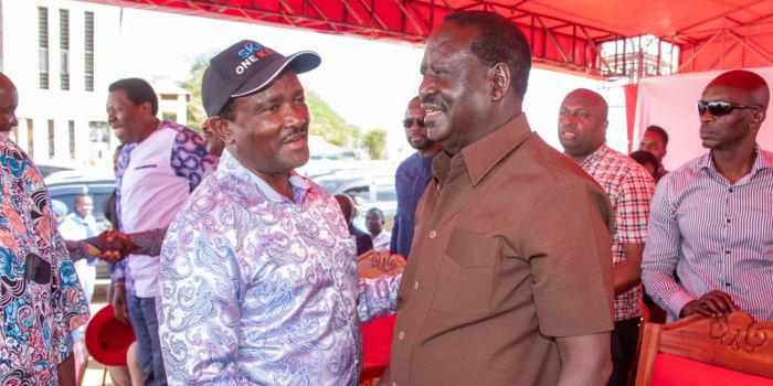 Azimio Principals Raila Odinga (right) and Kalonzo Musyoka PHOTO/Courtesy