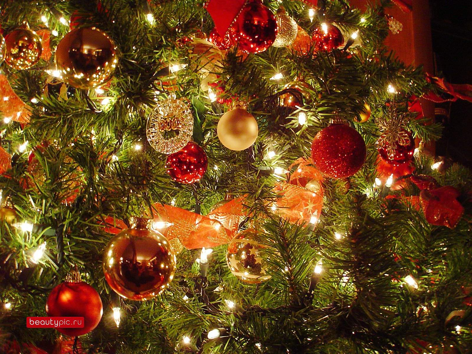 9 Lucrative Business Ideas During the Festive Season