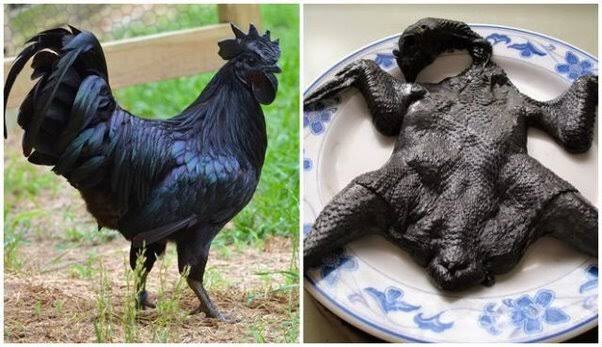 A Photo Of Ayam Cemani Bird And Its Meat.