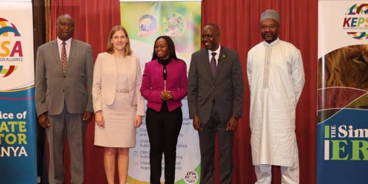 Climate Diplomacy: Kenya Pledges to Engage Private Sector