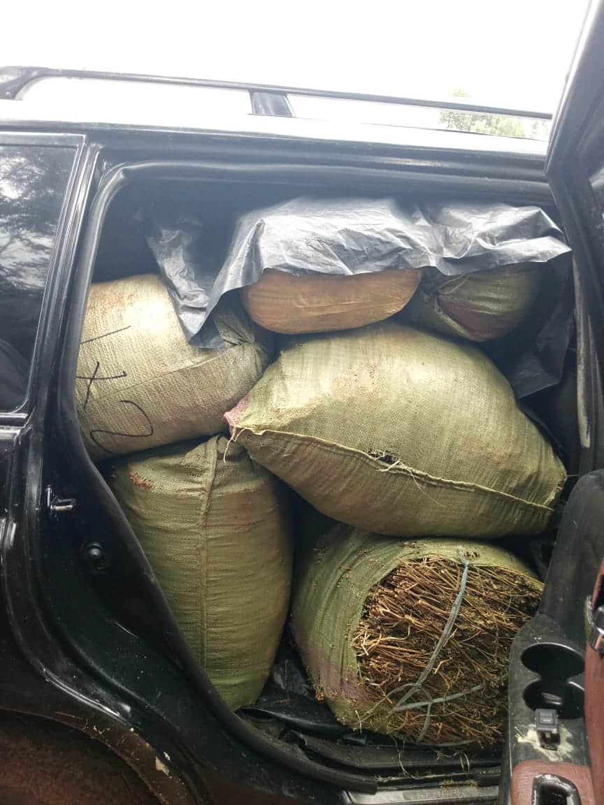 Sacks of bhang in one of the cars police nubbed in Kisii
