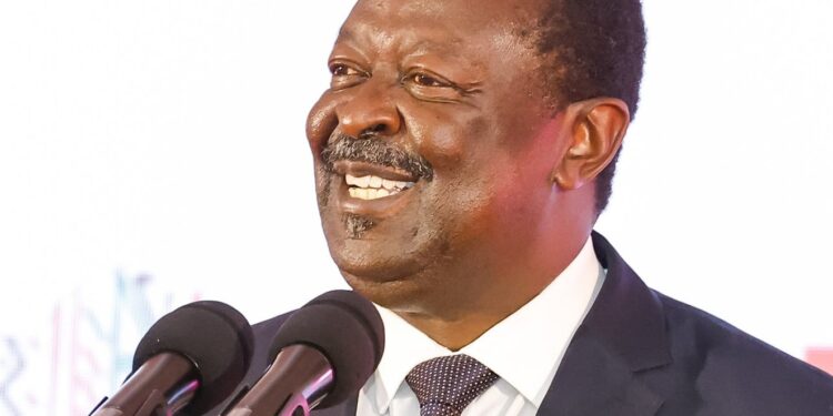 Ruto is Not Overtaxing Kenyans - Mudavadi