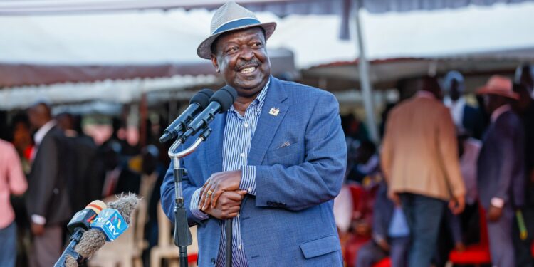 Mudavadi Asks Leaders to Work and Stop Blaming Uhuru's Govt