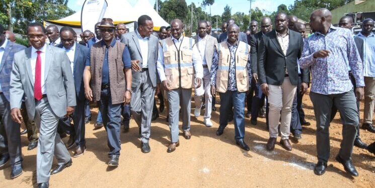 Drama as Kisii ODM MPs Nearly Beat Up Female Colleague
