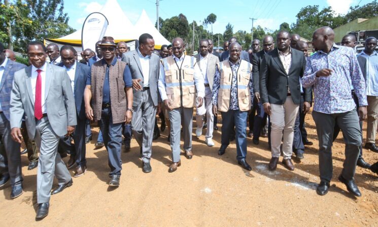 Drama as Kisii ODM MPs Nearly Beat Up Female Colleague