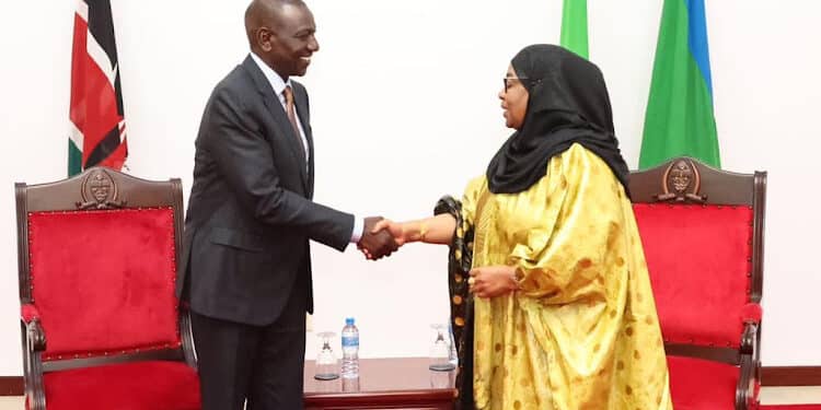 Kenya Bows to Pressure After Tanzania's Threat to Ban Flights