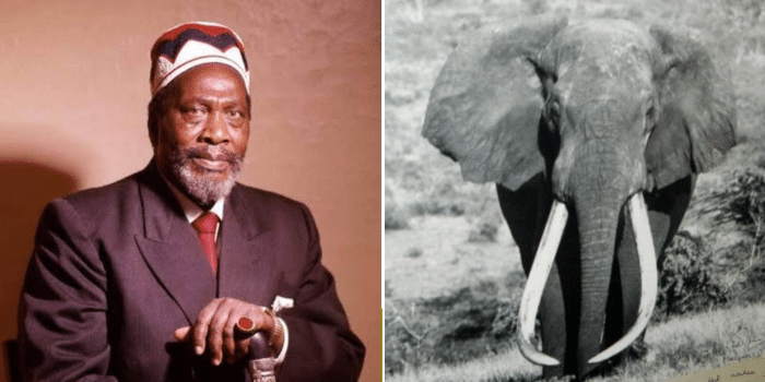 Google Celebrates Elephant Saved by Jomo Kenyatta