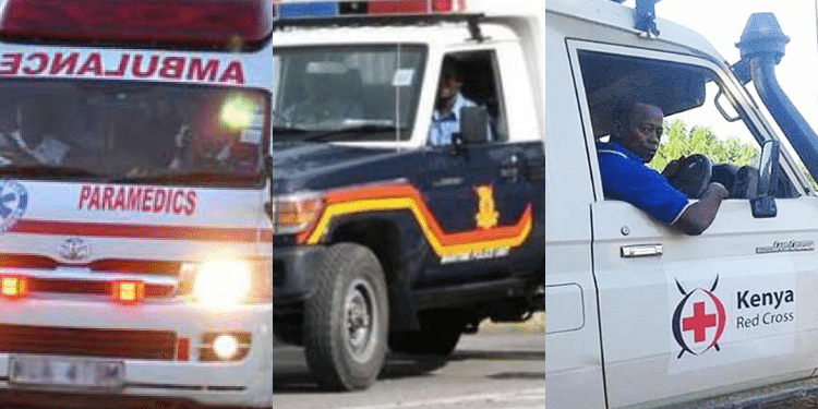 Important Hotline Numbers You Should Have During The Festive Season