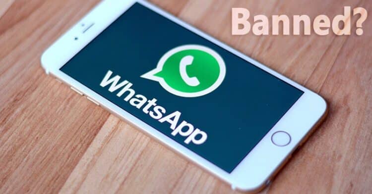WhatsApp in a Phone PHOTO/Courtesy