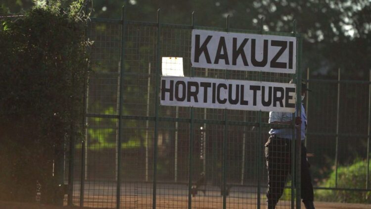 Kakuzi Issues Profit Warning, Cites China's Low Demand