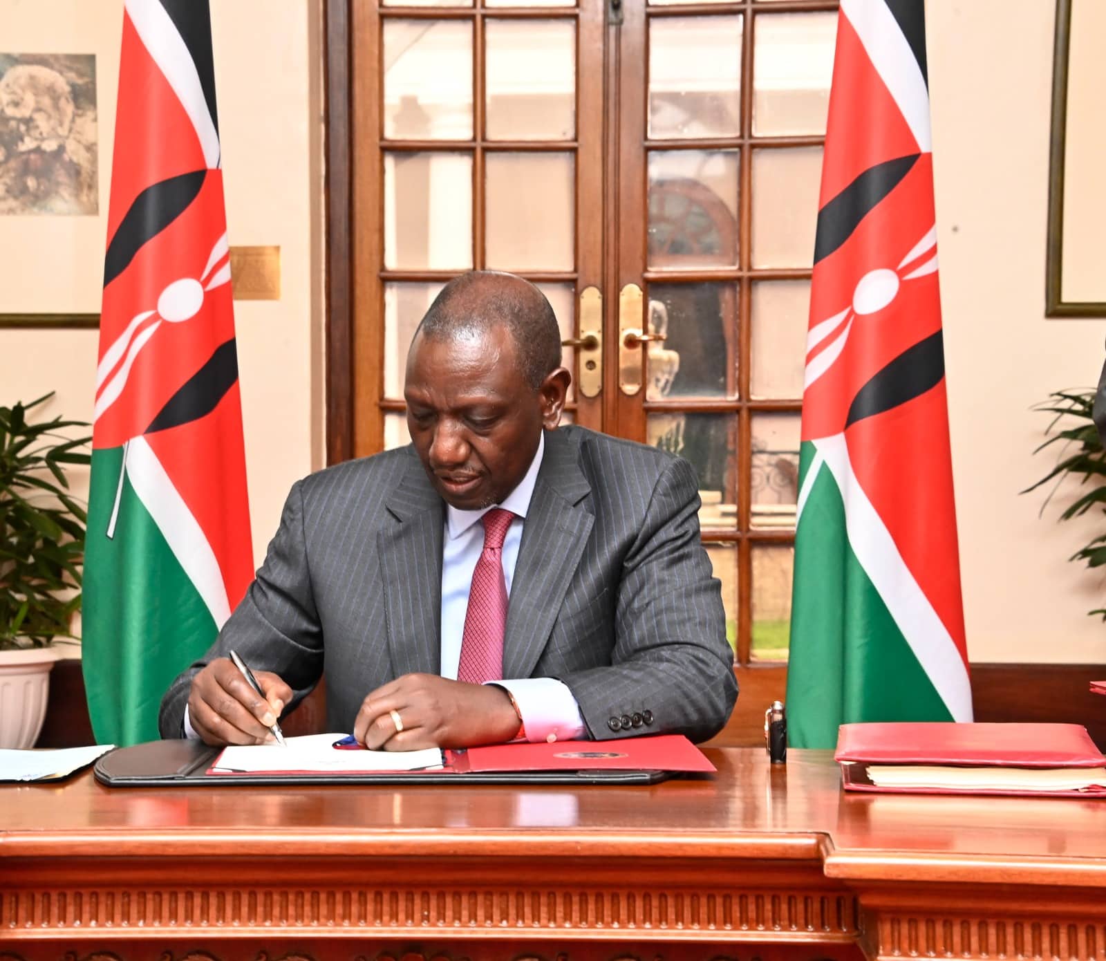 Ruto Appoints Wamae & Dr Amoth Among New Taskforce Members