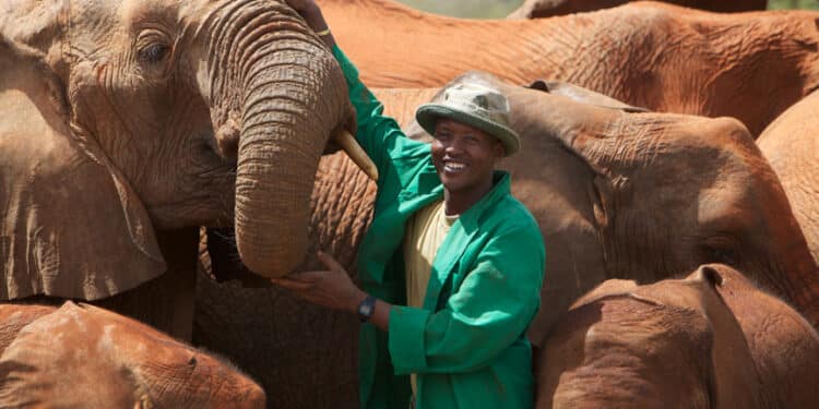 Kenya's National Park Ranked Among Top Global Destinations for 2024