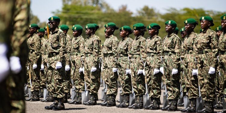 NYS Shortlists 390 Applicants for Jobs in Australia