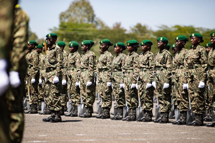 NYS Shortlists 390 Applicants for Jobs in Australia