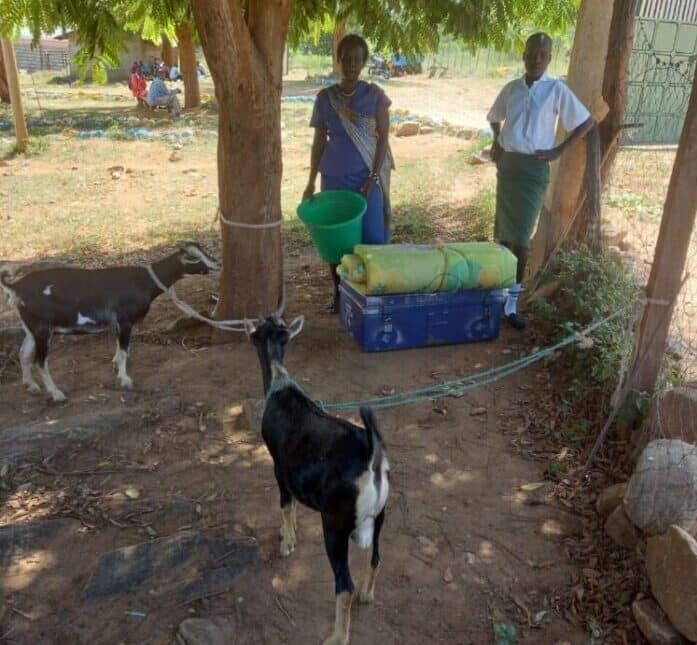 The mother took the goats to admit her daughter to form one