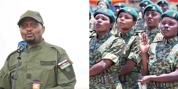 How to Apply for NYS Recruitment and Why You Should Join