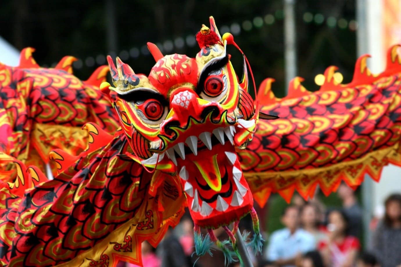 Chinese + New Year